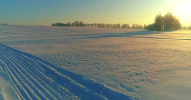 Arktik çayırlı soğuk kış manzarası, karla kaplı ağaçlar ve ufukta sabah güneşleri. Aşırı hava.