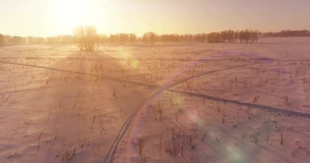 Arktik Çayırlı Soğuk Kış Manzarası Karla Kaplı Ağaçlar Ufukta Sabah — Stok video