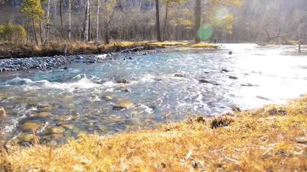 Zmotoryzowany Suwak Lalek Ujęcia Rozpryskującej Się Wody Małej Górskiej Rzece — Wideo stockowe