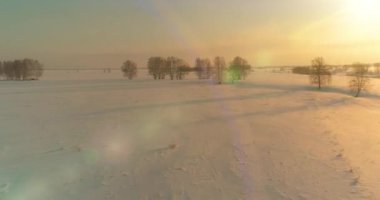 Soğuk kış kutup bölgesinin insansız hava görüntüsü, ufukta karla kaplı ağaçlar, buz nehri ve güneş ışınları. Aşırı düşük sıcaklık havası. Sibirya