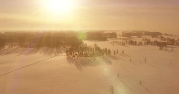 Drone Luchtfoto Van Koude Winter Landschap Poolveld Bomen Bedekt Met — Stockvideo