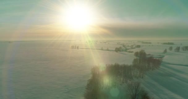 Drohne Luftaufnahme Der Kalten Winterlandschaft Arktisches Feld Bäume Mit Frost — Stockvideo