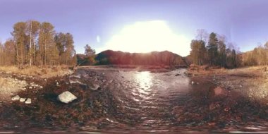 4K 360 VR güzel bir dağ sahnesinin sonbahar ya da yaz başında sanal gerçekliği. Vahşi dağlar, çam ormanı ve nehir akıntıları. Ulusal park, çayır ve güneş ışınları.