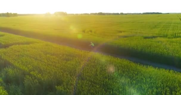 Veduta Aerea Sul Ragazzo Che Cavalca Una Bicicletta Attraverso Campo — Video Stock