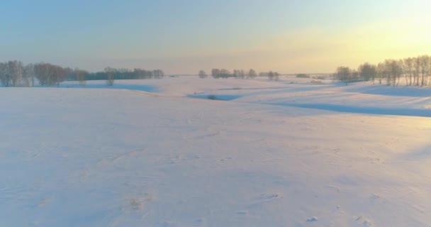 无人机俯瞰着寒冷的冬季风景北极田野 覆盖着霜雪 冰河和地平线上的太阳光的树木 极端低温天气 西伯利亚 — 图库视频影像