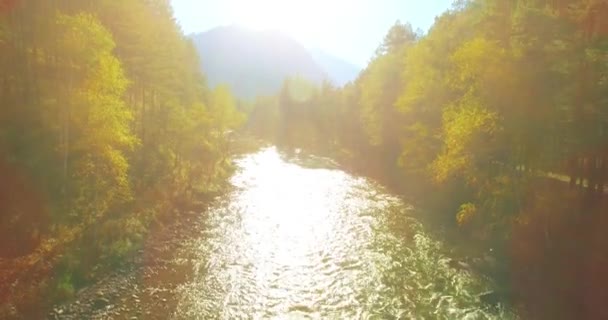 Punto Vista Aéreo Vuelo Baja Altitud Sobre Río Montaña Fresco — Vídeo de stock