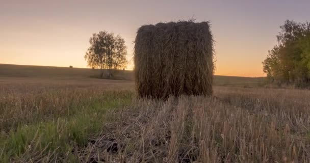 Uhd平らな丘の牧草地の時間は 夏の日の出時に経過します 芝生のフィールド上の野生の自然と農村の干し草 太陽光線と緑の木 電動ドリルスライダー — ストック動画