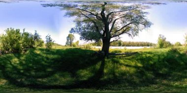 4K 360 VR Bir nehrin Sanal Gerçekliği Altay Rusya dağları ormanları ve çayırlarındaki bu güzel manzarada kayaların üzerinden akıyor