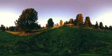 Yeşil dağ ormanlarının UHD 4K 360 VR zaman çizelgesi. Güneş ışınları ve gölgeler, çimenler ve çam ağaçları mavi gökyüzü ve temiz hava üzerinde.