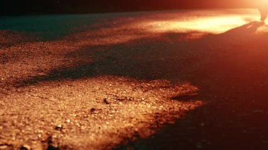 Yeni asfalt yolda koşan FHD sporcusu. Şehir parkında gün doğumu ya da gün batımı. Yeşil ağaç ormanı ve ufukta güneş ışığı.