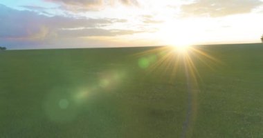 4K UHD hava görüntüsü. Güneşli yaz akşamlarında sonsuz yeşil tarlaları olan kırsal arazinin üzerinde alçak uçuş. Ufuktaki güneş ışınları. Hızlı yatay hareket. Sonbaharda tarım arazisi.