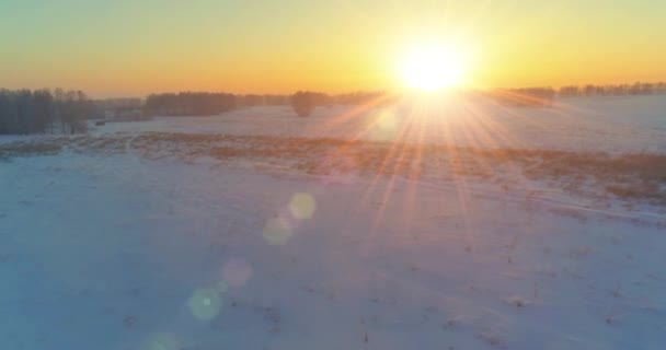 Luchtfoto Drone Uitzicht Koude Winter Landschap Met Poolveld Bomen Bedekt — Stockvideo