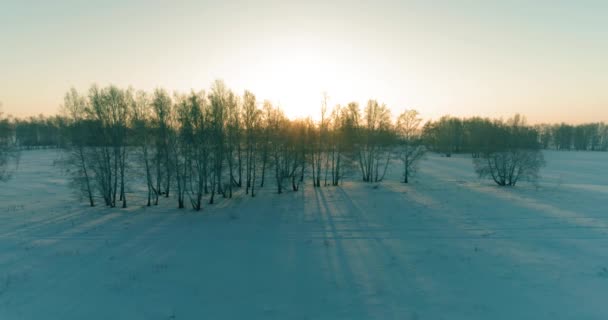 Vue Aérienne Par Drone Paysage Hivernal Froid Avec Champ Arctique — Video