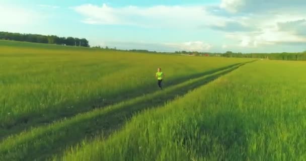 Letecký Záběr Sportovního Dítěte Běží Přes Pšeničné Pole Večerní Sportovní — Stock video