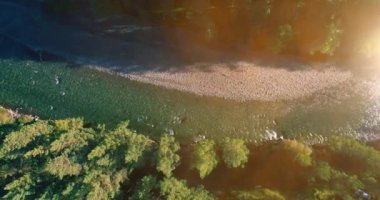 4K hava bakış açısı. Güneşli yaz sabahında, taze, hızlı dağ nehri üzerinde kayalıklarla alçak irtifa uçuşu. Yeşil çam ağaçları ve güneş ışınları. Saf soğuk su akıntısı.