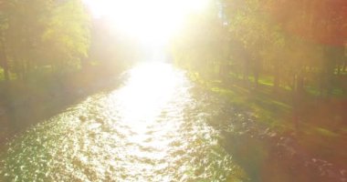 4K hava bakış açısı. Güneşli yaz sabahında, taze, hızlı dağ nehri üzerinde kayalıklarla alçak irtifa uçuşu. Yeşil çam ağaçları ve güneş ışınları. Saf soğuk su akıntısı.