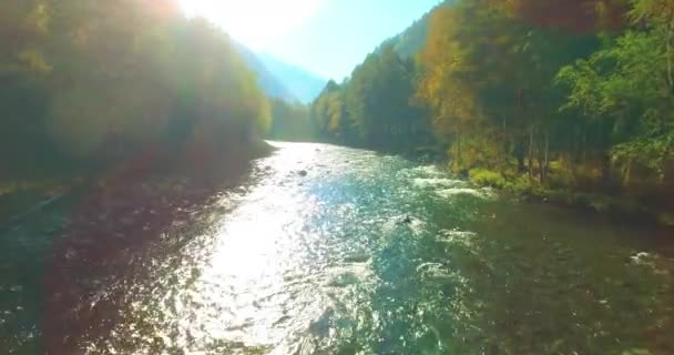 Point Vue Aérien Vol Basse Altitude Dessus Une Rivière Montagne — Video