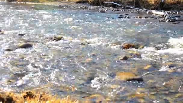 Motorgetriebene Schieberegler Schossen Auf Das Plätschernde Wasser Einem Kleinen Gebirgsfluss — Stockvideo