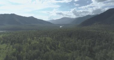 4K hava görüntüsü. Güneşli bir yaz akşamında sonsuz dağ ormanları olan sonsuz yeşil çam ağacı manzarasının üzerinde alçak uçuş. Ufuktaki güneş ışınları. Hızlı yatay hareket. Vahşi doğa.