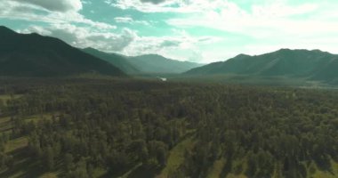 4K hava görüntüsü. Güneşli bir yaz akşamında sonsuz dağ ormanları olan sonsuz yeşil çam ağacı manzarasının üzerinde alçak uçuş. Ufuktaki güneş ışınları. Hızlı yatay hareket. Vahşi doğa.