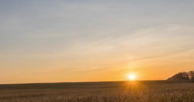 4K düz tepe çayır zamanı sonbahar gündoğumu zamanı. Vahşi doğa ve kırsal çimler. Güneş ışınları ve sarı çimenler. Motorlu doli kaydırma ve panorama hareketi