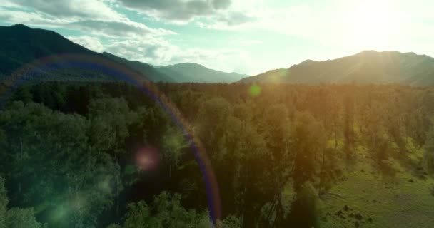 4K空撮ビュー 晴れた夏の夜に無限の山の森と常緑の松の木の風景の上の低飛行 地平線に太陽の光線 高速水平移動 野生の自然 — ストック動画