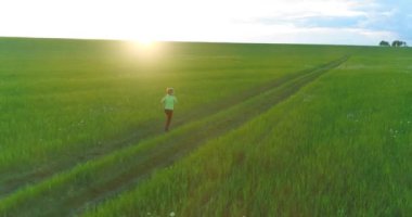 Sportif bir çocuğun havadan çekimleri buğday tarlasından geçiyor. Kırsal çayırlarda akşam sporu alıştırmaları. Mutlu bir çocukluk sağlıklı bir yaşam biçimidir. Açık havada koşma transferi. Radikal hareket, güneş