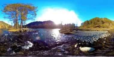 4K 360 VR güzel bir dağ sahnesinin sonbahar ya da yaz başında sanal gerçekliği. Vahşi dağlar, çam ormanı ve nehir akıntıları. Ulusal park, çayır ve güneş ışınları.