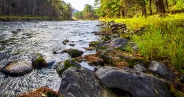 4K dağ nehri zaman dilimi yaz ya da sonbahar zamanı. Vahşi doğa, berrak su ve her zaman yeşil olan kırsal vadi. Güneş ışınları, küçük dere ve sarı otlar. Motorlu doli kaydırma hareketi