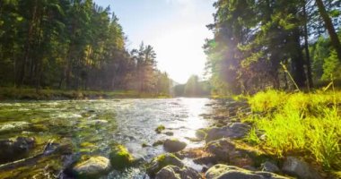4K dağ nehri zaman dilimi yaz ya da sonbahar zamanı. Vahşi doğa, berrak su ve her zaman yeşil olan kırsal vadi. Güneş ışınları, küçük dere ve sarı otlar. Motorlu doli kaydırma hareketi