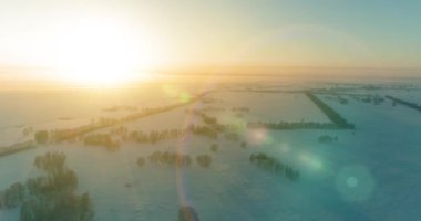 Arktik çayırlı soğuk kış manzarası, karla kaplı ağaçlar ve ufukta sabah güneşleri. Aşırı hava.