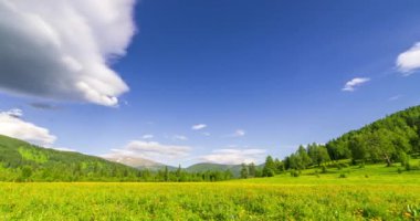 Yaz ya da sonbahar mevsiminde dağdaki çayır zaman atlaması. Vahşi doğa ve kırsal alan. Bulutların hareketi, yeşil çimenler ve güneş ışınları. Motorlu Panorama