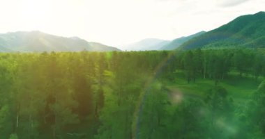 4K hava görüntüsü. Güneşli bir yaz akşamında sonsuz dağ ormanları olan sonsuz yeşil çam ağacı manzarasının üzerinde alçak uçuş. Ufuktaki güneş ışınları. Hızlı yatay hareket. Vahşi doğa.
