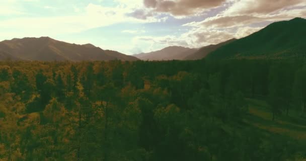 4K空撮ビュー 晴れた夏の夜に無限の山の森と常緑の松の木の風景の上の低飛行 地平線に太陽の光線 高速水平移動 野生の自然 — ストック動画