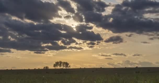 Timelapse Prairie Plat Uhd Coucher Soleil Été Automne Nature Sauvage — Video