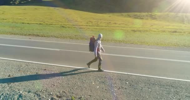 空中4K Uhdビュー アスファルトの道路を歩くヒッチハイカーの観光客の上に低高度のフライト 夏の日に巨大な田舎の谷と日当たりの良い牧草地 リュックハイキング男 — ストック動画