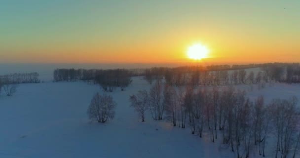 Letecký Pohled Studenou Zimní Krajinu Arktickým Polem Stromy Pokryté Mrazivým — Stock video