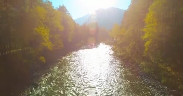 Punto Vista Aéreo Vuelo Baja Altitud Sobre Río Montaña Fresco — Vídeos de Stock