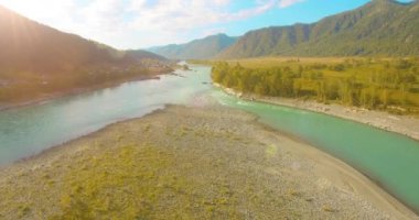 4K hava bakış açısı. Güneşli yaz sabahında, taze, hızlı dağ nehri üzerinde kayalıklarla alçak irtifa uçuşu. Yeşil çam ağaçları ve güneş ışınları. Saf soğuk su akıntısı.