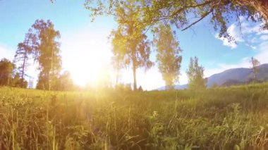 4K UHD dağ manzarasındaki kırsal çayır yeşil çimenler, ağaçlar ve güneş ışınlarıyla. Sonbahar ya da yaz havası. Motorlu kaydırma kulesinde çapraz hareket.