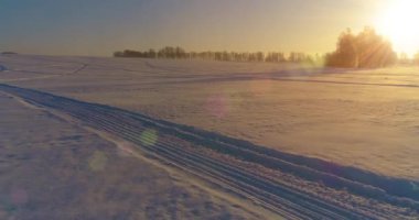 Arktik çayırlı soğuk kış manzarası, karla kaplı ağaçlar ve ufukta sabah güneşleri. Aşırı hava.