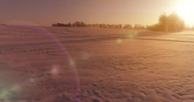 Arktik çayırlı soğuk kış manzarası, karla kaplı ağaçlar ve ufukta sabah güneşleri. Aşırı hava.