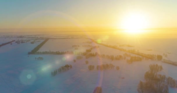Letecký Pohled Studenou Zimní Krajinu Arktickým Polem Stromy Pokryté Mrazivým — Stock video