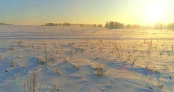 Vista Aérea Drones Del Frío Paisaje Invernal Con Campo Ártico — Vídeo de stock