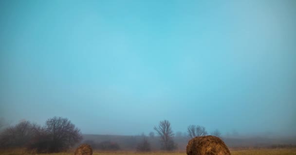 秋の日の出時に4Kの山の牧草地のタイムラプス 芝生のフィールド上の野生の自然と農村の干し草 朝の霧 太陽の光と木 電動ドリルスライダー — ストック動画