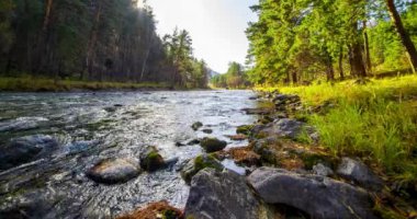 4K dağ nehri zaman dilimi yaz ya da sonbahar zamanı. Vahşi doğa, berrak su ve her zaman yeşil olan kırsal vadi. Güneş ışınları, küçük dere ve sarı otlar. Motorlu doli kaydırma hareketi