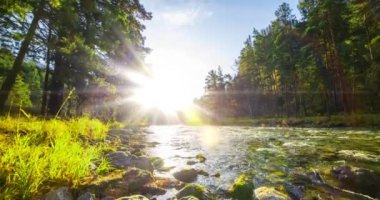 4K dağ nehri zaman dilimi yaz ya da sonbahar zamanı. Vahşi doğa, berrak su ve her zaman yeşil olan kırsal vadi. Güneş ışınları, küçük dere ve sarı otlar. Motorlu doli kaydırma hareketi