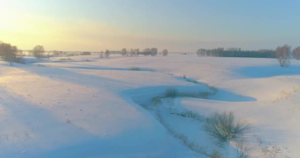 水平線上に霜雪 氷の川や太陽の光で覆われた木々 寒い冬の風景北極フィールドのドローンの空中ビュー 極端な低温の天気 シベリア — ストック動画