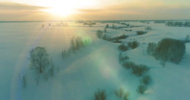 Soğuk kış kutup bölgesinin insansız hava görüntüsü, ufukta karla kaplı ağaçlar, buz nehri ve güneş ışınları. Aşırı düşük sıcaklık havası. Sibirya