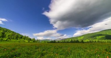 Yaz ya da sonbahar mevsiminde dağdaki çayır zaman atlaması. Vahşi doğa ve kırsal alan. Bulutların hareketi, yeşil çimenler ve güneş ışınları. Motorlu Panorama